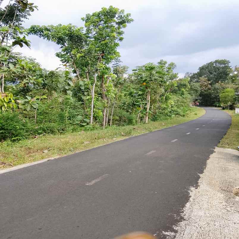 dijual tanah kelurahan pandan kec