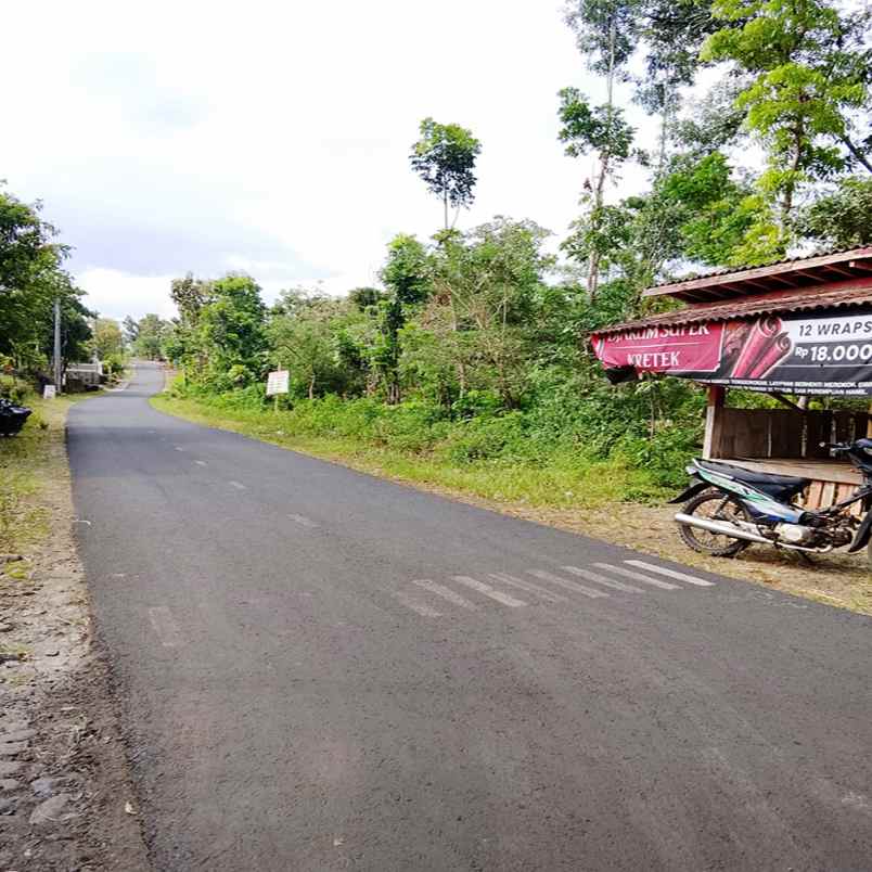 dijual tanah kelurahan pandan kec