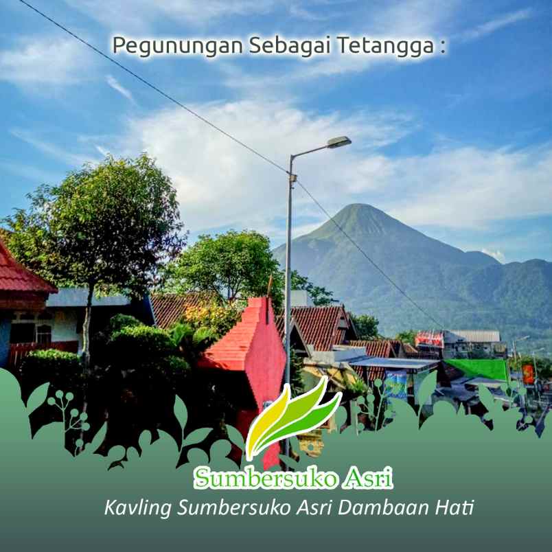 dijual tanah kemuning sumbersuko kec