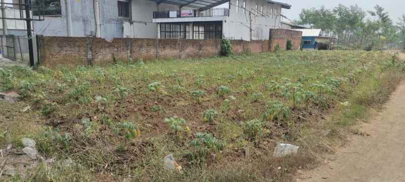 dijual tanah lokasi poros jalan pakis malang