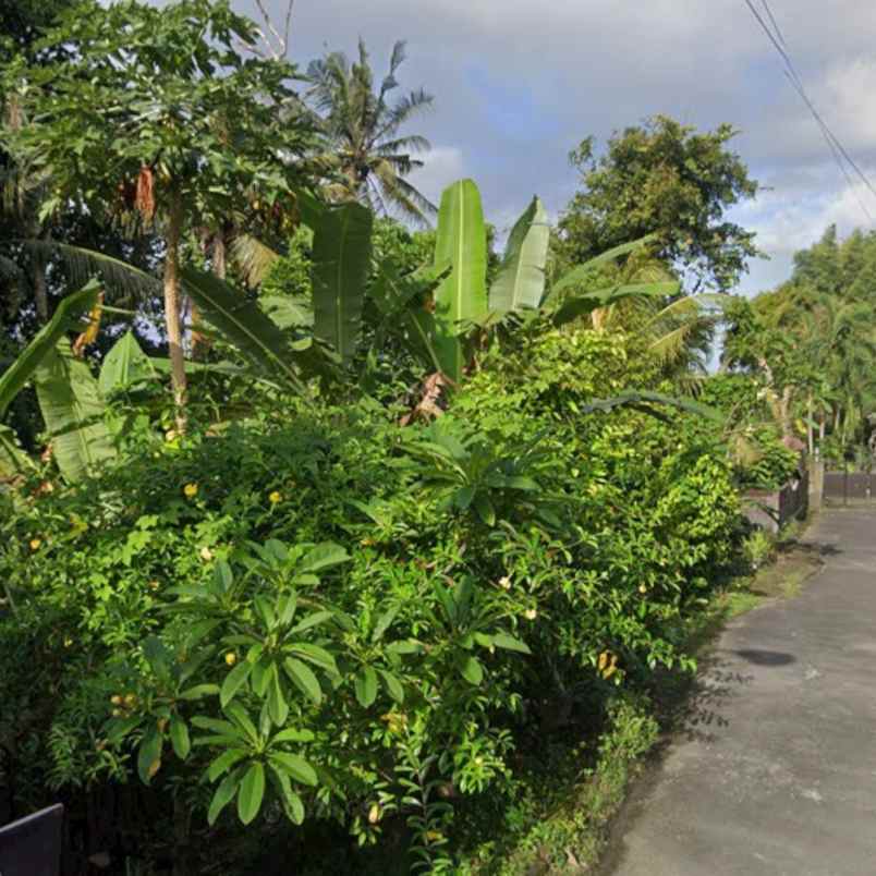 dijual tanah mengwi