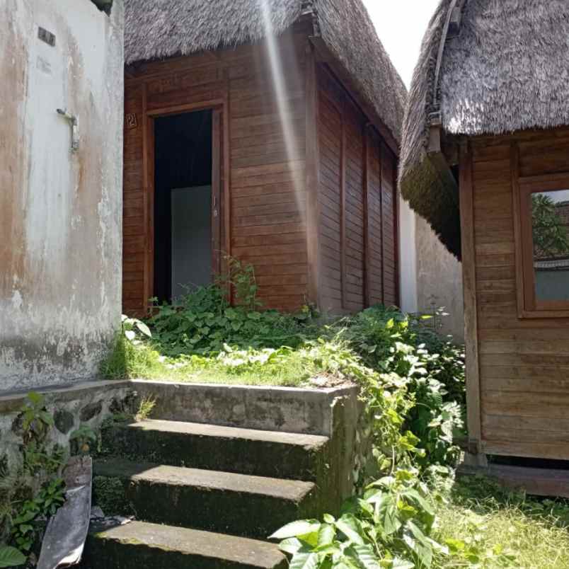 dijual tanah muding sari