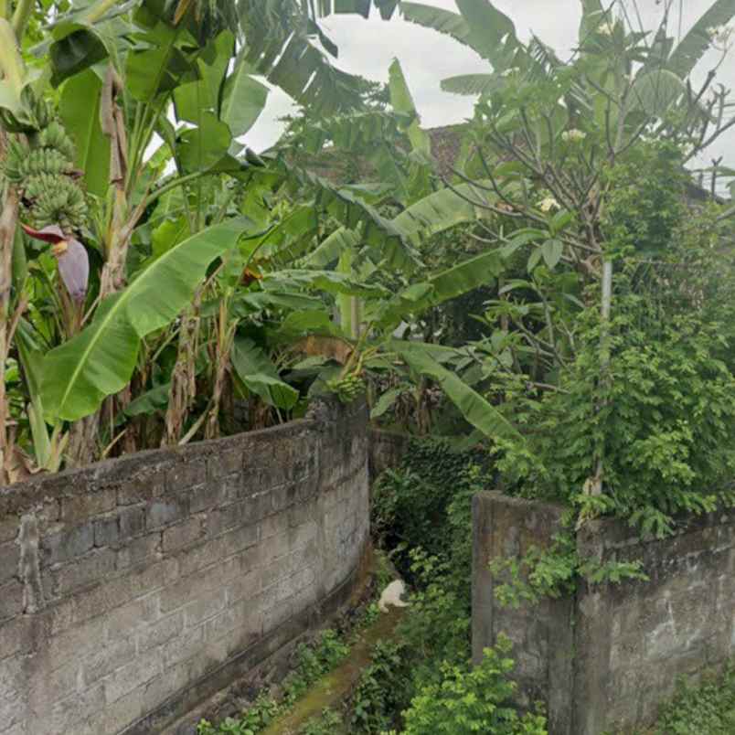 dijual tanah padangsambian klod