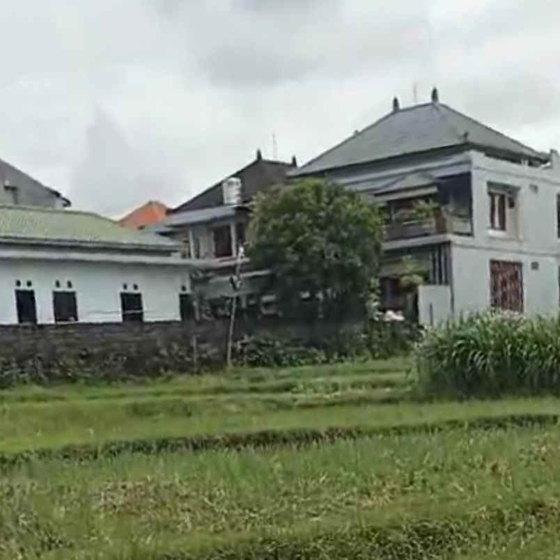 dijual tanah padonan betaka