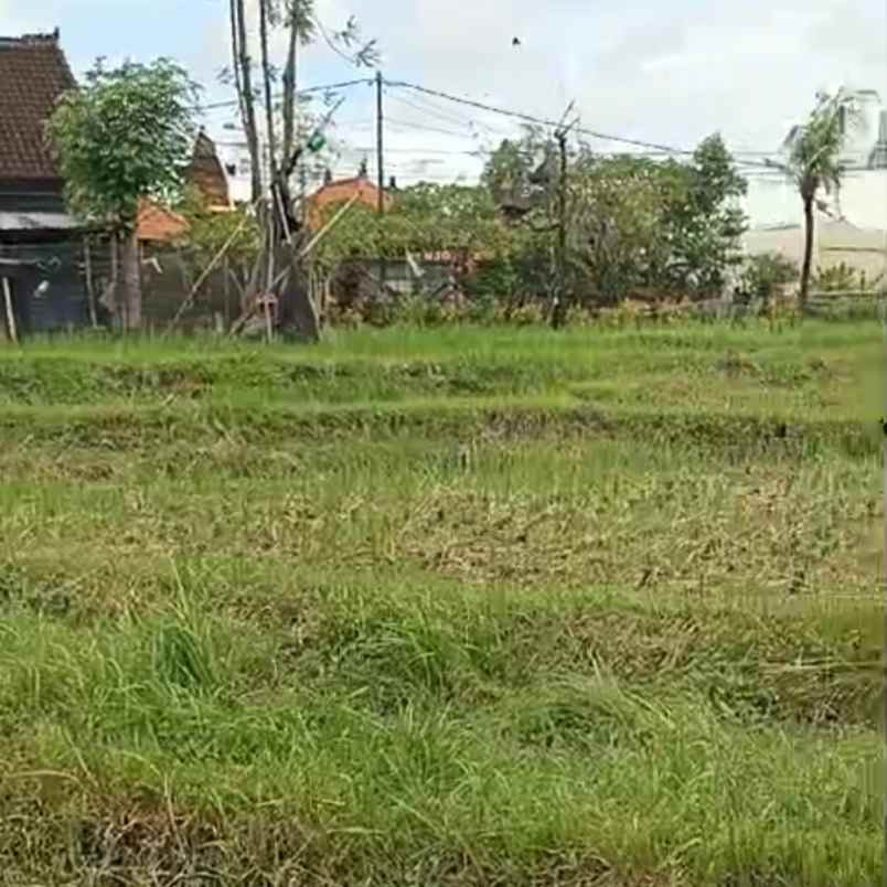 dijual tanah padonan betaka
