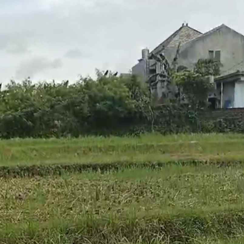 dijual tanah padonan betaka