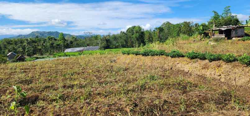 dijual tanah pagaralam gunung gare