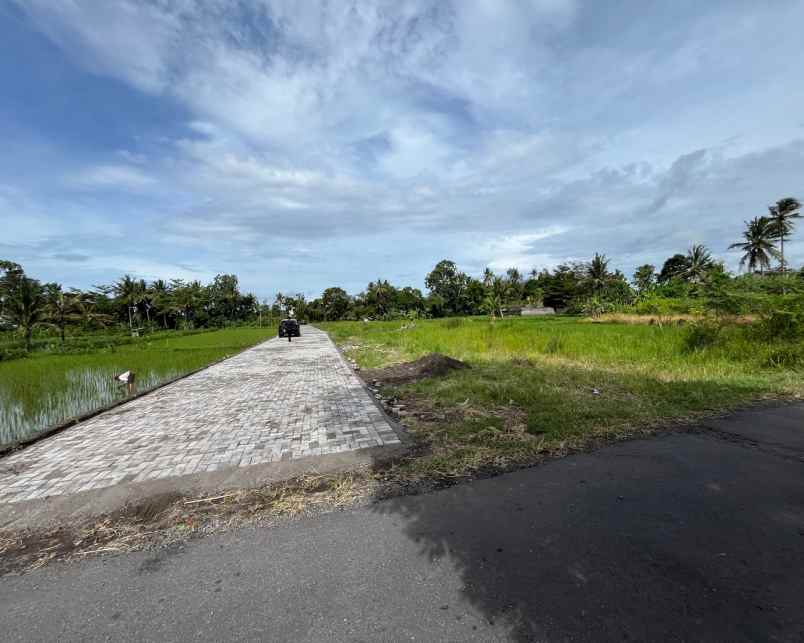 dijual tanah pandanaran sleman yogyakarta