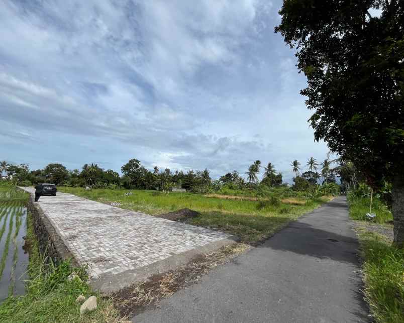 dijual tanah pandanaran sleman yogyakarta