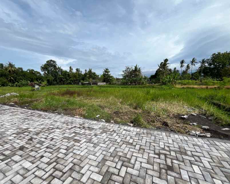 dijual tanah pandanaran sleman yogyakarta