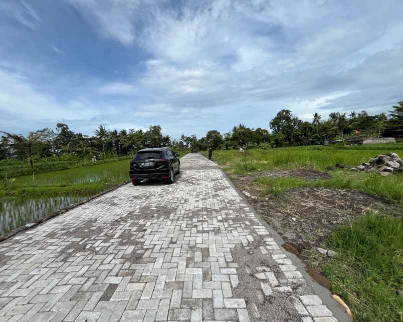 dijual tanah pandanaran sleman yogyakarta