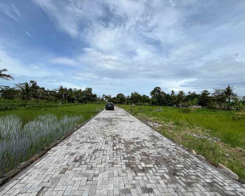 dijual tanah pandanaran sleman yogyakarta