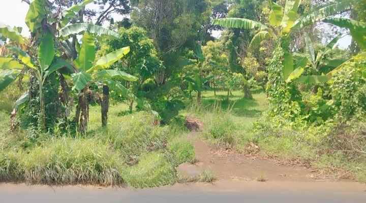 dijual tanah pinggir jalan view gunung di linggarjati