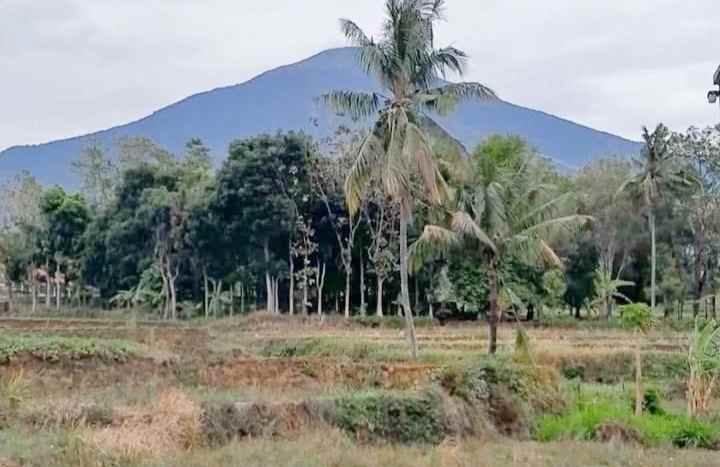 dijual tanah pinggir jalan view gunung di linggarjati