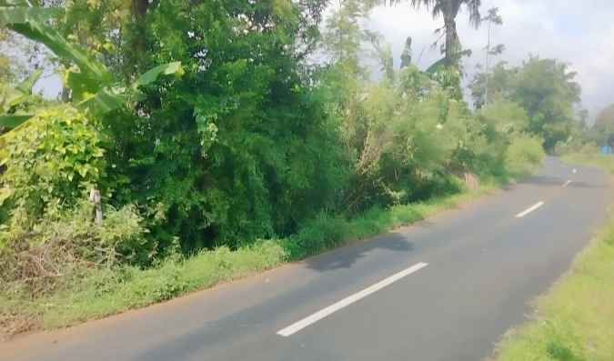 dijual tanah pinggir jalan view gunung di linggarjati