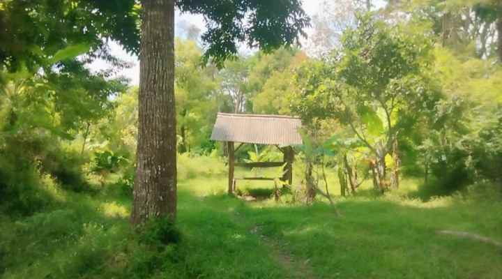 dijual tanah pinggir jalan view gunung di linggarjati