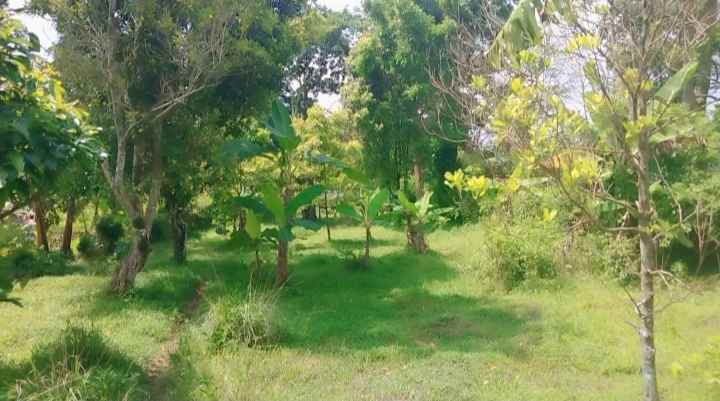 dijual tanah pinggir jalan view gunung di linggarjati