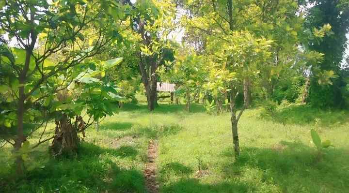 dijual tanah pinggir jalan view gunung di linggarjati