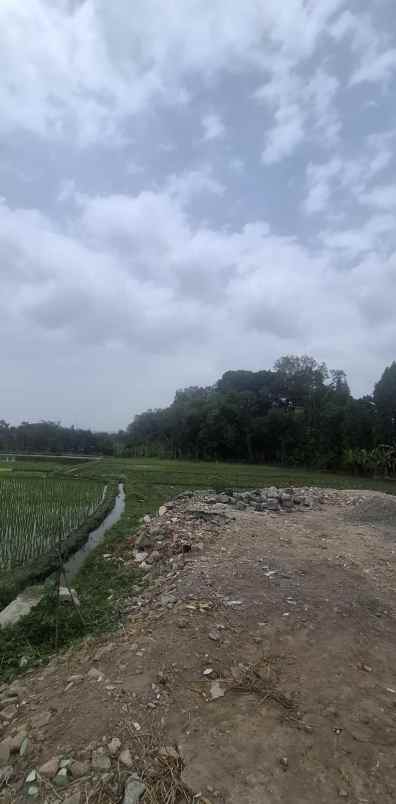 dijual tanah potorono