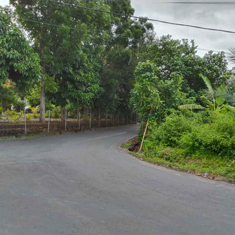 dijual tanah pulau serangan