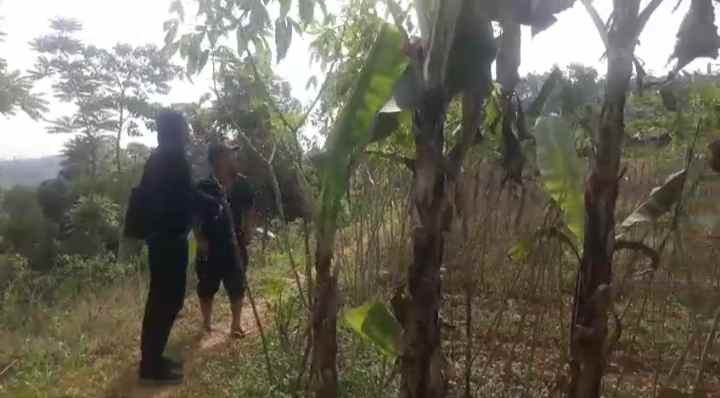 dijual tanah sindanglaya