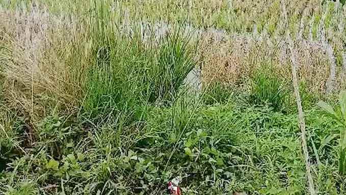 dijual tanah singosari