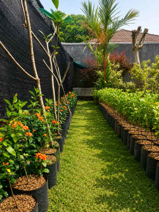 dijual tanah strategis ciapus bogor