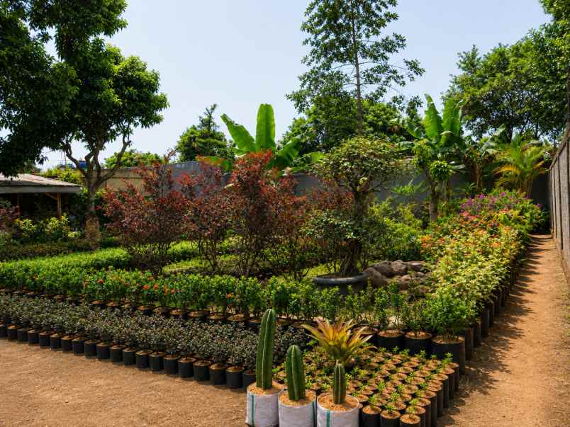 dijual tanah strategis ciapus bogor