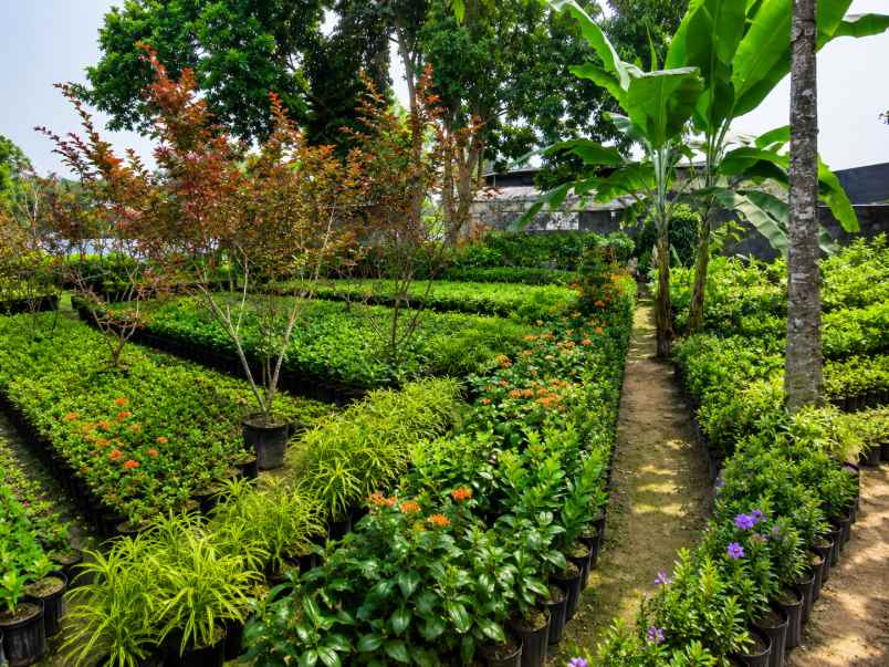 dijual tanah strategis ciapus bogor