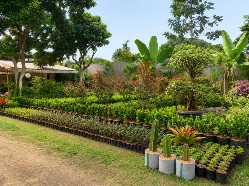 dijual tanah strategis ciapus bogor