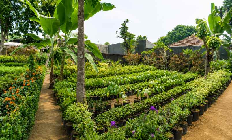 dijual tanah strategis ciapus bogor