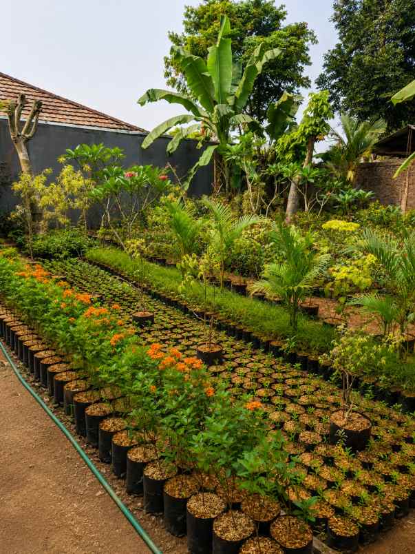 dijual tanah strategis ciapus bogor