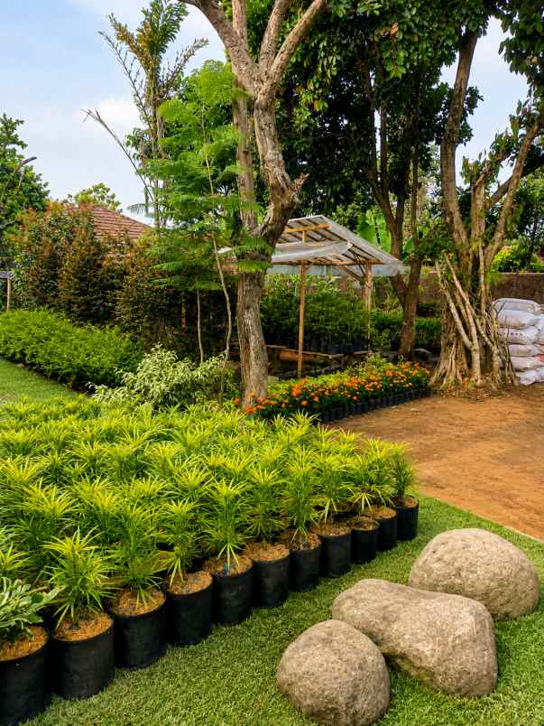 dijual tanah strategis ciapus bogor