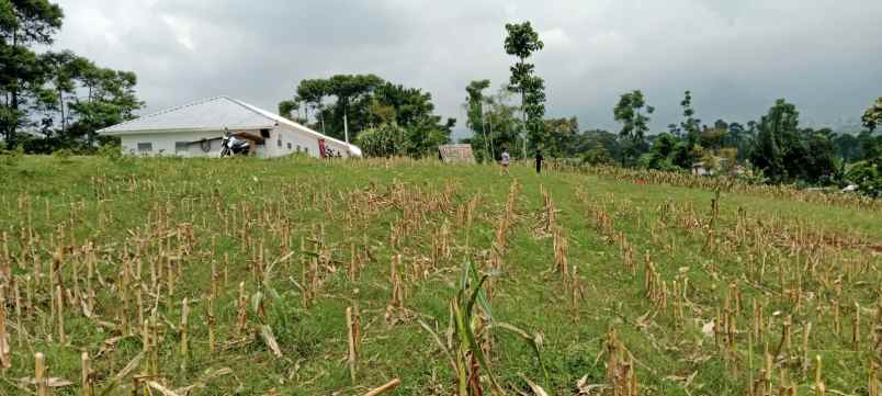 dijual tanah strategis di banjaran kab bandung