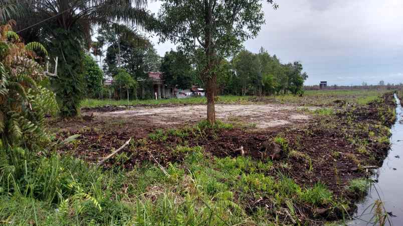 dijual tanah strategis di palangkaraya