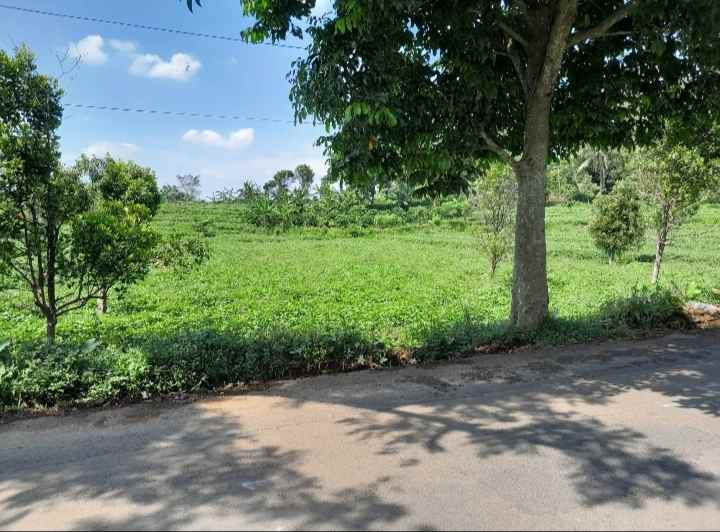 dijual tanah strategis pinggir jalan raya propinsi