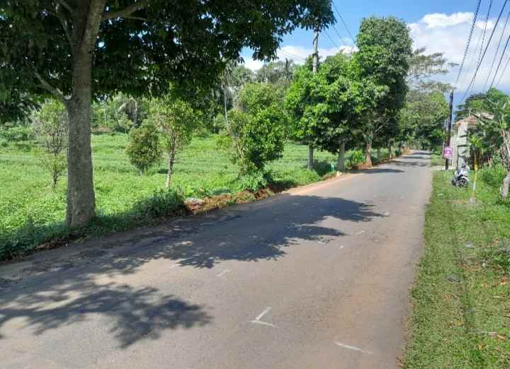 dijual tanah strategis pinggir jalan raya propinsi