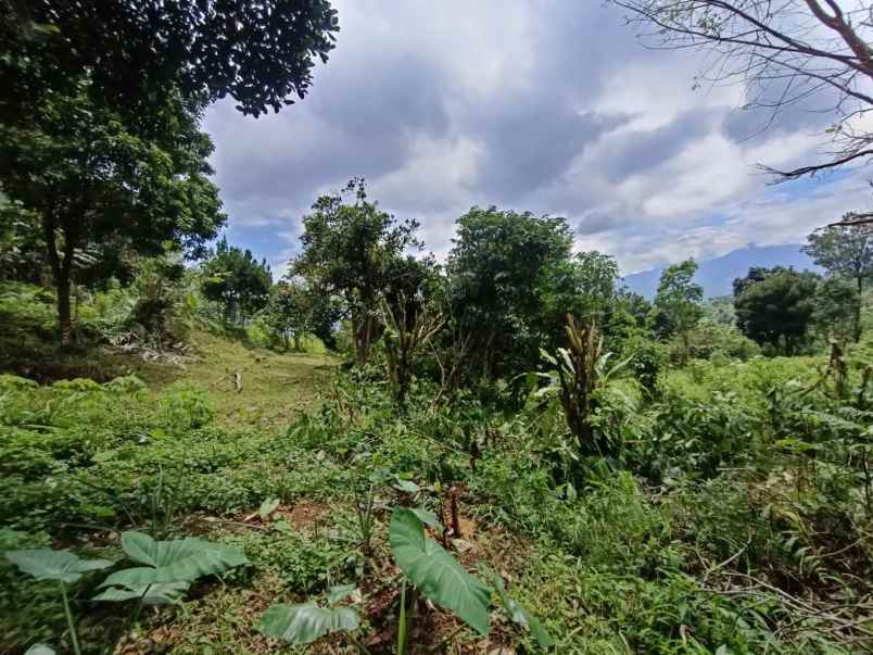 dijual tanah takut halang cijeruk