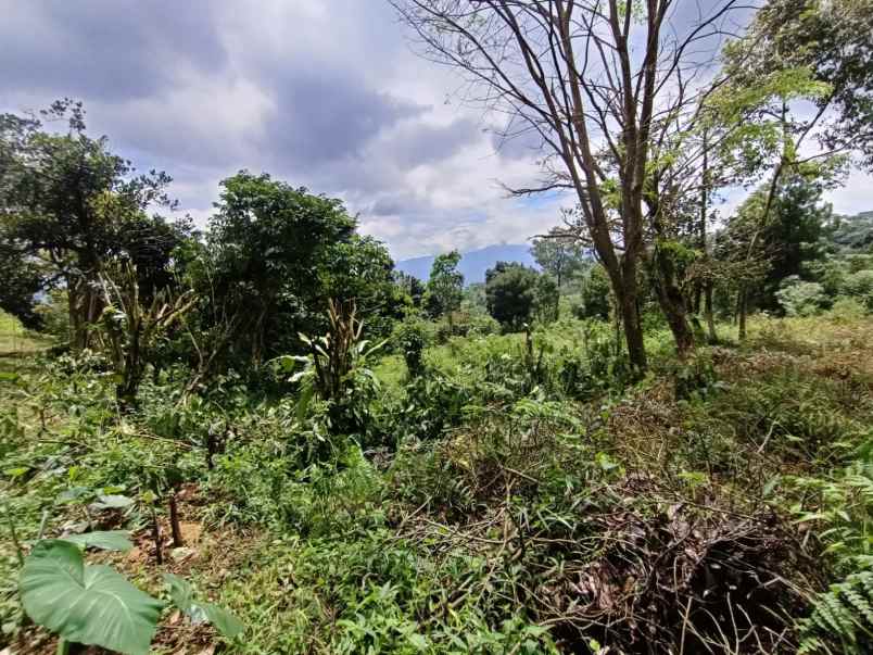 dijual tanah takut halang cijeruk