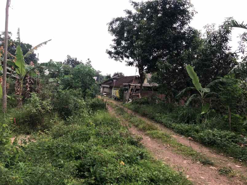 dijual tanah tanjungsari tanjungarum