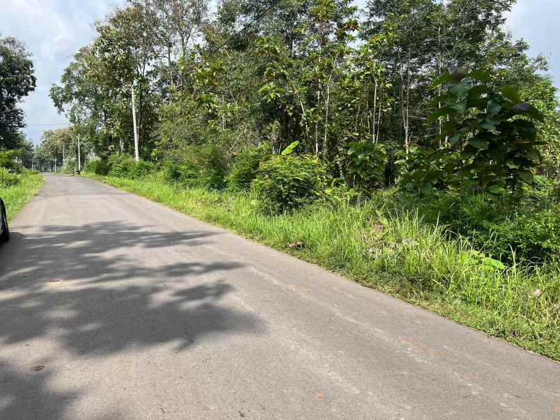 dijual tanah tepi jl raya kerjo