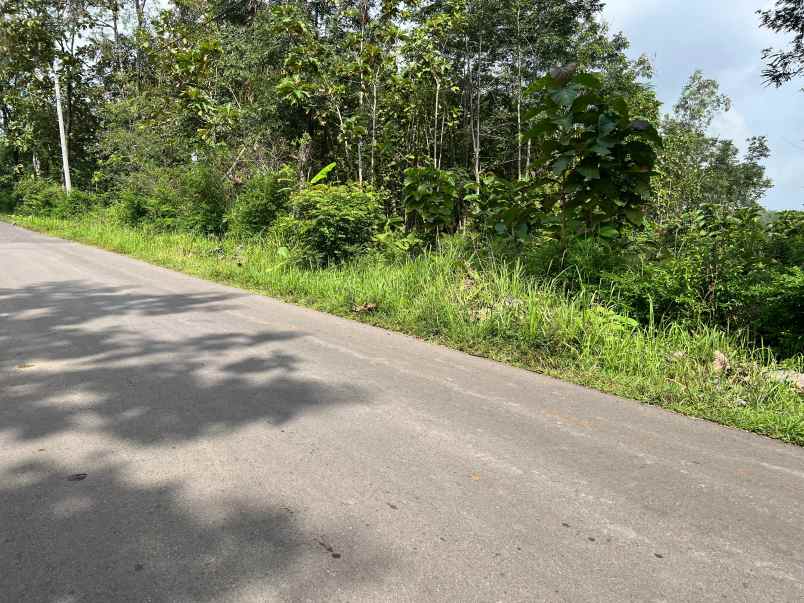 dijual tanah tepi jl raya kerjo