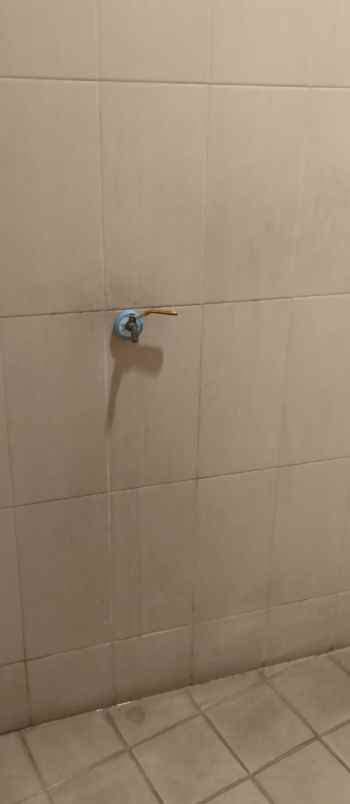 disewakan ruko gudang kantor panunggangan timur pinang