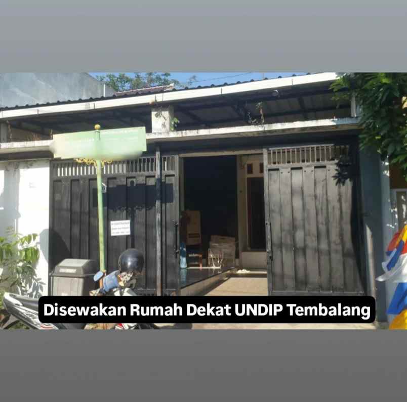 disewakan rumah dekat undip tembalang