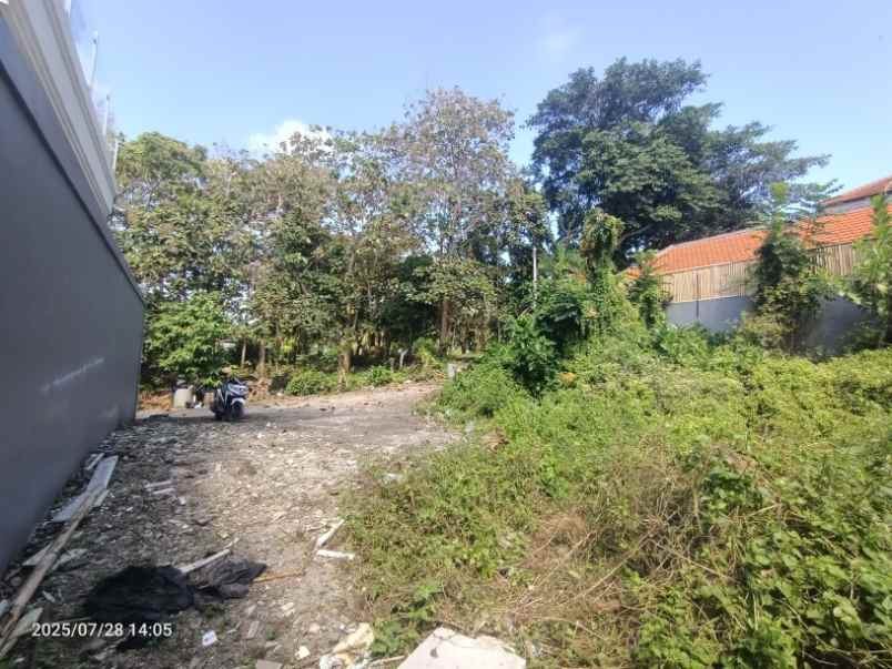 disewakan tanah muding kerobokan bali