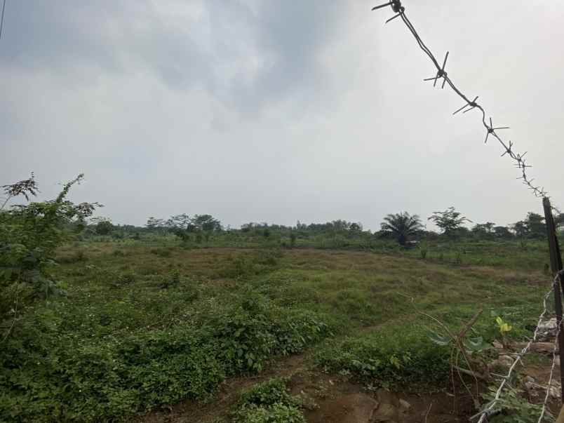 jual tanah kavling termurah di parung panjang