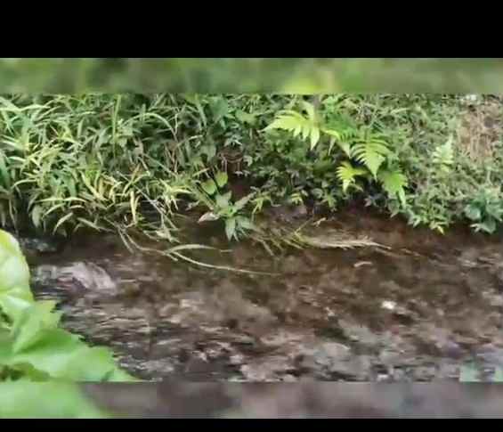 jual tanah mata air subang