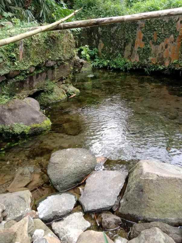 jual tanah mata air subang