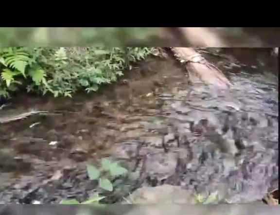 jual tanah mata air subang