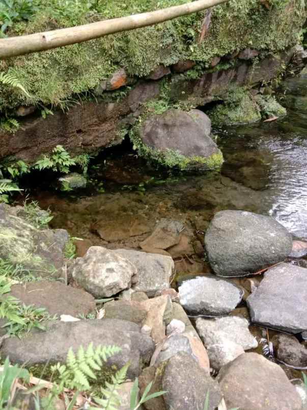 jual tanah mata air subang